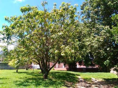Chácara A Venda Jardim. Monte Belo Campinas Sp. - Ch0044