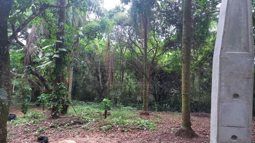 Imagem 7 de 8 de Área À Venda Em Vila Gallo - Ar002193