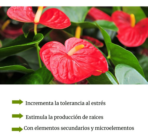 Cabal Plus 100 Ml Fertilizante Foliar Orquídeas Y Anturios