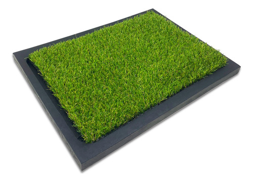 Mikel´s Ts-1p Tapete Entrenador Para Perro 50 X 42 Cm