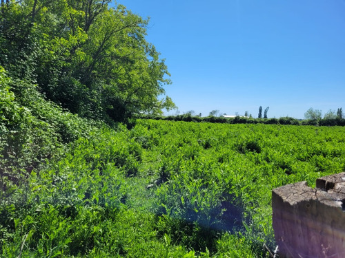 Terreno De 2,5 Há, En Cuñibal, Cercano A Los Ángeles