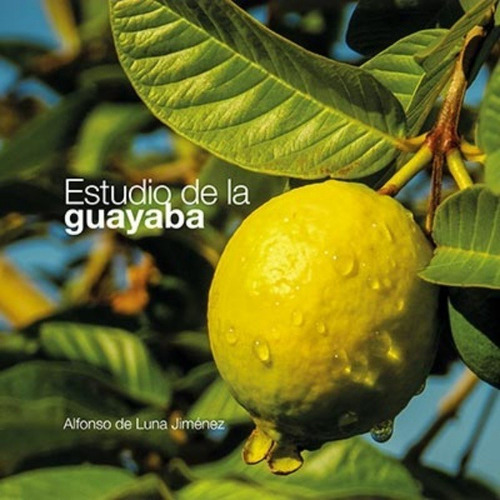 Imagen 1 de 1 de Estudio De La Guayaba