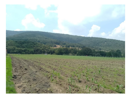 Imagen 3 de 8 de Se Vende Terreno En San Miguel Tepotzotlán