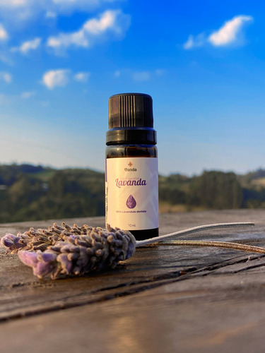 Óleo Essêncial De Lavanda Dentata 10ml - La Janda