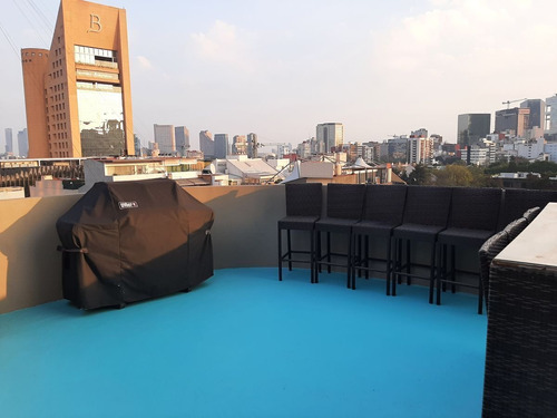 Imagen 10 de 22 de Departamentos En Renta En Polanco