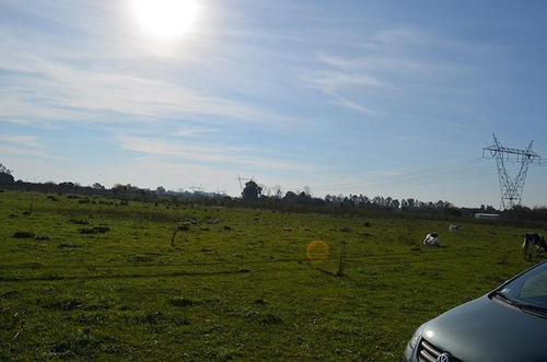 Imagen 6 de 17 de Terreno Para Empredimiento Manzanares 15 Hectareas