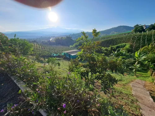 Finca En Venta