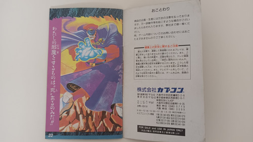 Manual Street Fighter 2 Turbo - Super Nintendo (Usado)