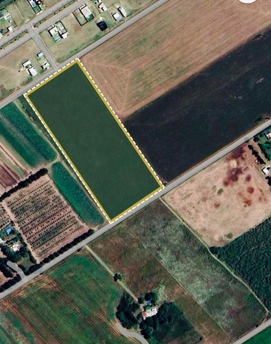 Imagen 3 de 4 de Campo - Arroyo Seco