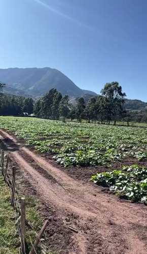 Terreno En Oxapampa Tiene Un Área 23621 Metros Cuadrados
