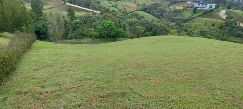 Lote En Venta En Llanogrande. Cod V11916