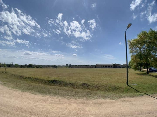 Imagen 4 de 13 de Venta Terreno De 1600m2 En Colinas De Carrasco