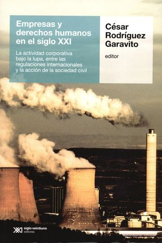 Libro Empresas Y Derechos Humanos En El Siglo Xxi. La Activ