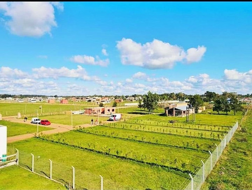 Imagen 2 de 8 de Venta Excelentes Lotes En Domselaar !!!