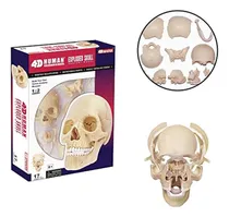 Comprar 4d Master 26086 Human Anatomy Exploded Skull Model 3d Puzzle