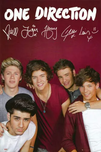 Póster De One Direction Con Harry Styles Y Los Demás