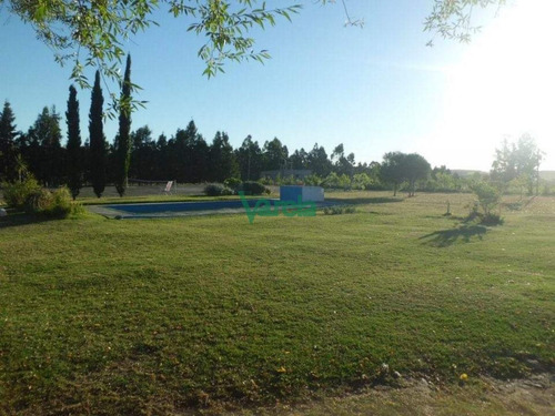 Imagen 9 de 13 de Venta Granja Avícola De 5,6 Has Sobre Ruta 11 - Canelones Estacion Pedrera
