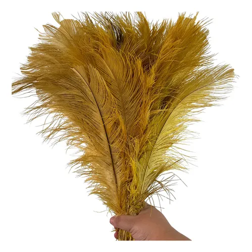 Plumas 2025 color mostaza