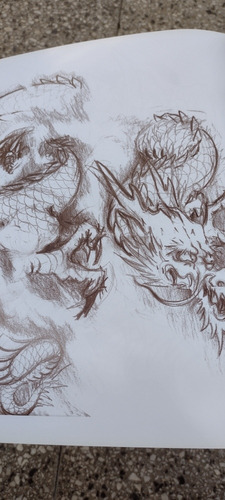 Dragones, Pintura, Dibujos ,bocetos Y Tatuajes (Usado)
