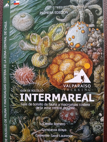 Intermareal/bosque Esclerofilo/templado/rocas-minerales.pack