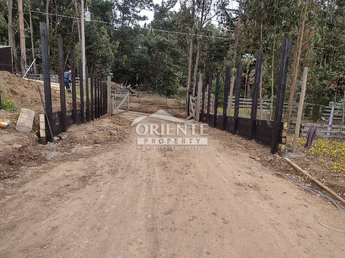 Oferta Sitios En Condominio Punta De Lobos Pichilemu