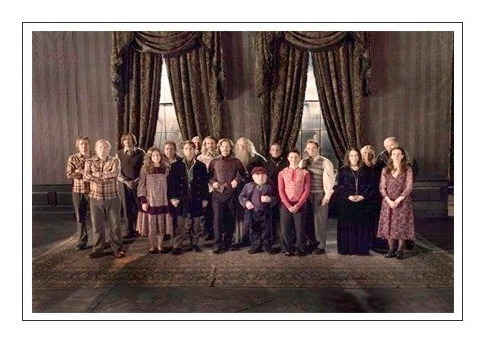 Foto Orden Del Fénix - Harry Potter 13x18cm.