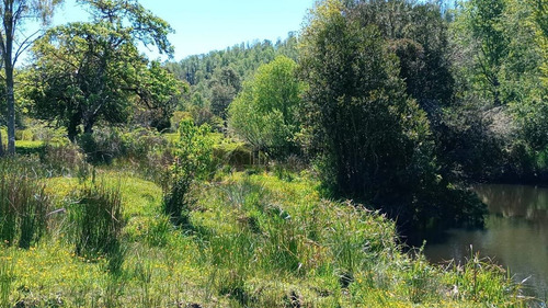 Parcela En Venta En Fresia