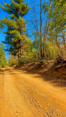 Vive En La Naturaleza Parcela De 10000mt2 En La Placeta