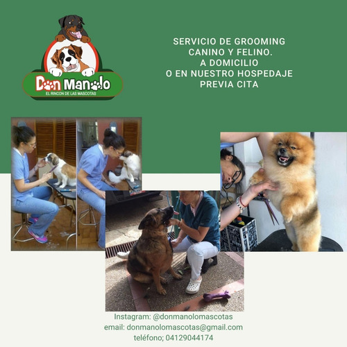 Imagen 5 de 8 de Hospedaje Canino,peluqueria Canino, Felina, Educadora Canina