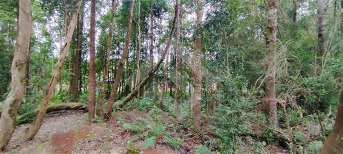 Parcela 5.000mt2 - Casa 5d 4b - 500mt2 - Puerto Varas