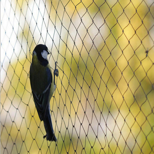 Red De Protección Antipájaros, Malla Para Plantas De Jardín
