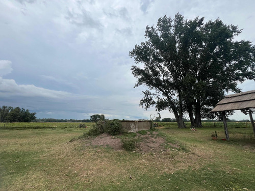 Campo En Venta De 5.28 Hectáreas En San Andrés De Giles