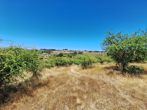 Se Vende Campo En Litueche Con 5 Tranques Y 2 Vertientes