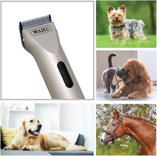  Wahl Professional Animal - Arco kit de máquina de corte  inalámbrica para mascotas, perros, gatos y caballos : Productos para  Animales