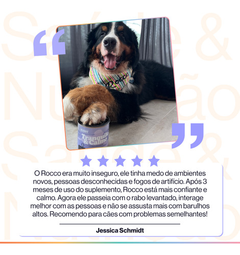 Tranquilo & Calmo - Suplemento Para Cães - Buddy Nutrition