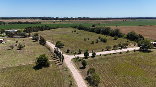 Lotes En Chacras De Olivia - Zarate