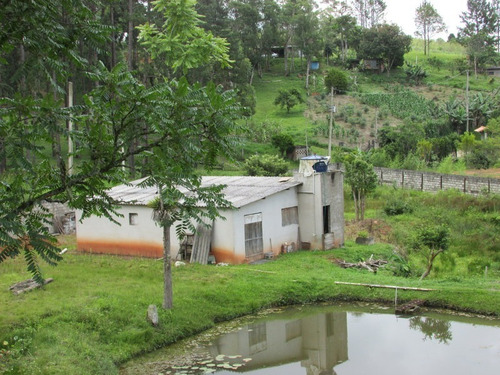 Imagem 8 de 22 de Chacara - 04765 - 33418558