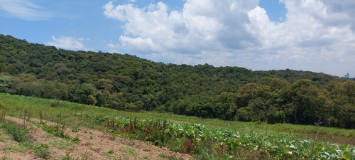 Imagem 11 de 20 de Vendo Terreno Com Otima Topografia / 15o