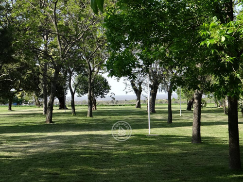 Las Martinas - Cabaña Cuádruple En Colonia