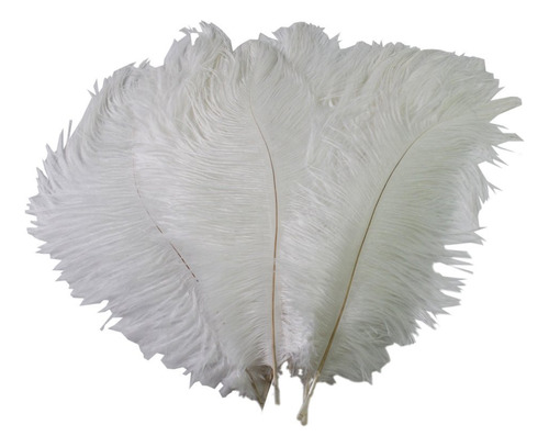 Happy Will 50 pcs 15  20 cm, Real Natural Plumas De .