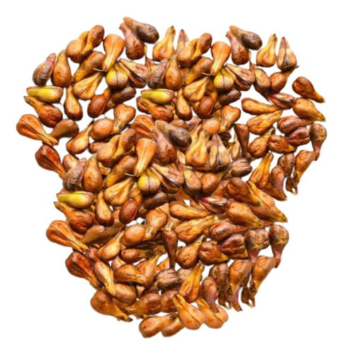 Semillas De Uva Extracto Atomizado Polvo 1 Kg