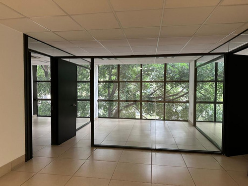Oficinas En Renta En Río Tiber Piso 2