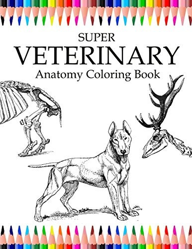 Super Veterinary Anatomy Coloring Book Animals For Relax, La