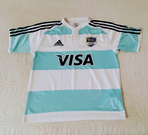 Remera Rugby Selección Impecable Envíos 13/18 Años