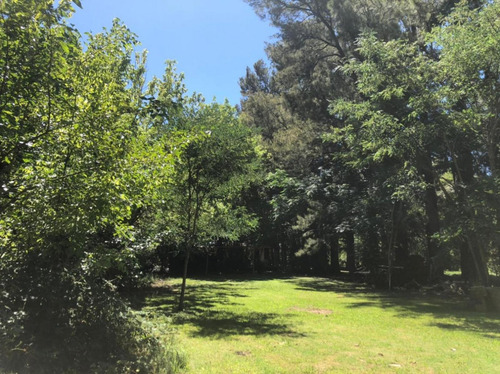 Quinta En Venta - 3 Dormitorios 1 Baño - Cochera - 7.872mts2 - Punta Indio