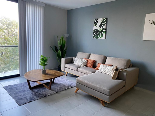 Monarca 28, Exclusivos Departamentos En El Epicentro De Playa Del Carmen