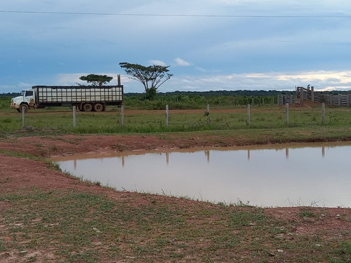 Imagem 12 de 13 de Fazenda 10600 Hectares, Acesso Asfaltado, Rica Em Água Com Lago, Planta 6000 Hectares, Topografia Plana, Casas Sede E Caseiro, Curral, Barracão - Fa00252 - 70762252