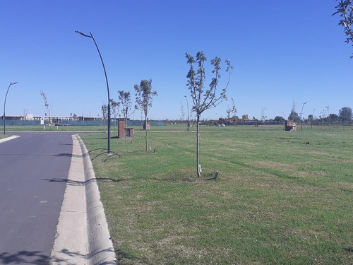 Imagen 5 de 22 de Terreno - Carpinchos