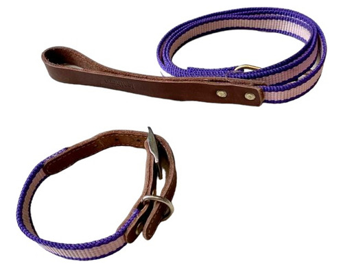 Collar Y Correa Para Perro Talla Chica Color Lila (Usado)