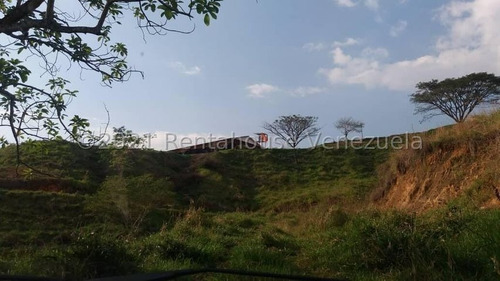 Imagen 11 de 24 de Angelica Nati Rent A House Finca En Venta Vallecito Tinaquillo Cojedes Cod 22m6016 Ar